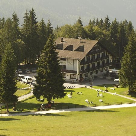 Hotel Piccola Baita Мольвено Экстерьер фото